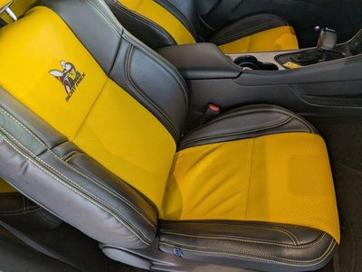 2019 Dodge Challenger R/T Scat Pack Widebody